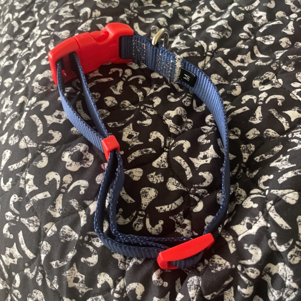 Dog collars - Picture 4 of 4